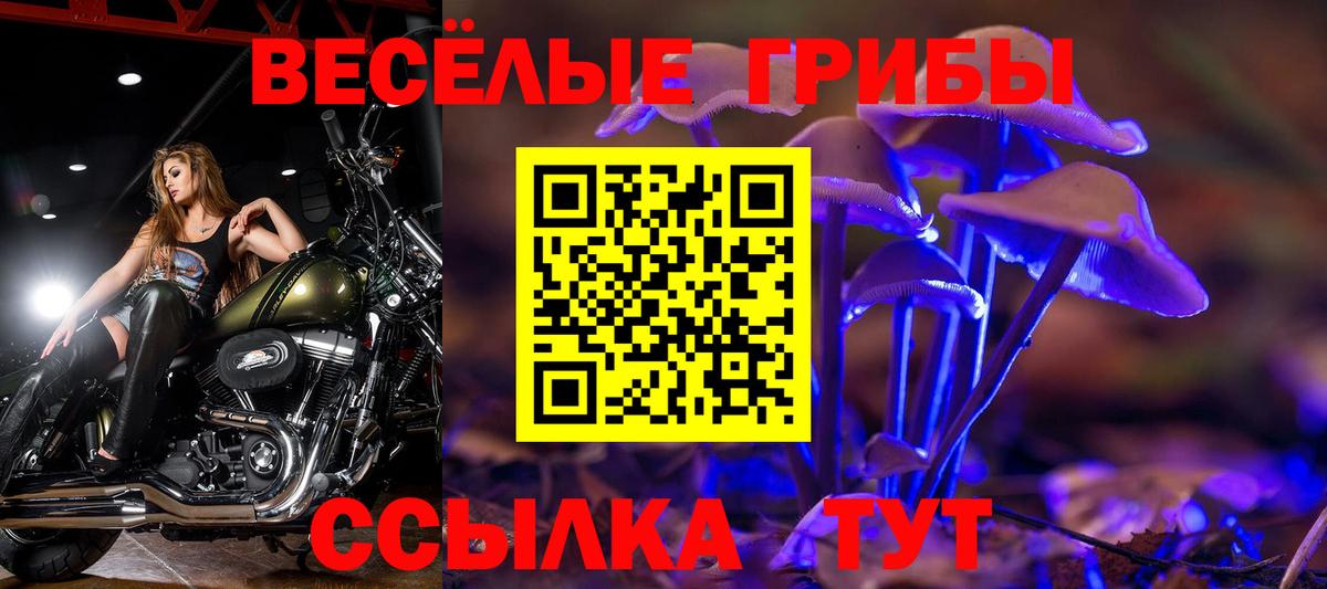 Нижнекамск  где можно купить наркотик  Вход с VPN  Галлюциногенные грибы Psilocybe 