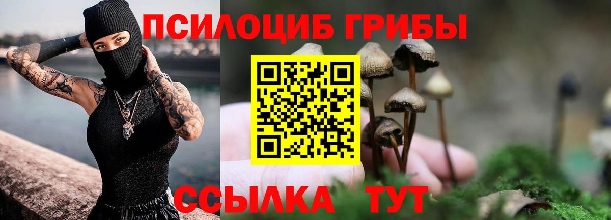 Галлюциногенные грибы Cubensis Нижнекамск